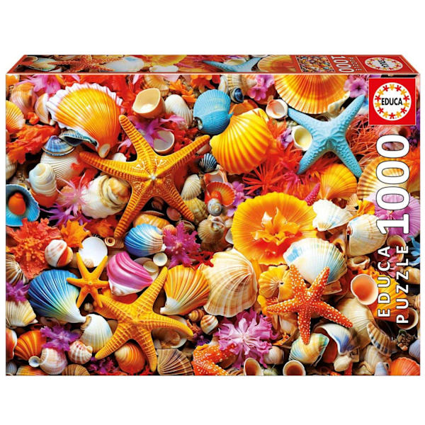 Educa Shell Collage Pussel 1000 bitar multifärg