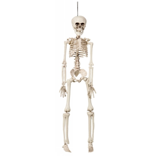 Hängande skelett 42cm
