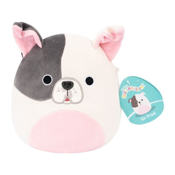 Squishmallows 19cm Sir Fred Pitbull multifärg