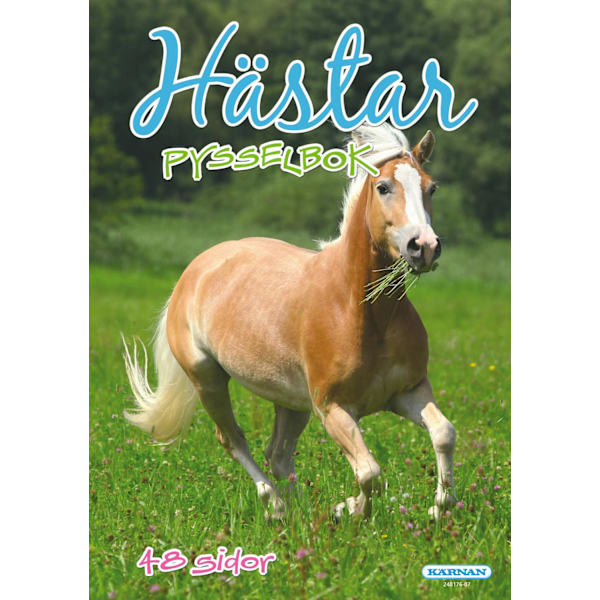 Pysselbok Hästar multifärg