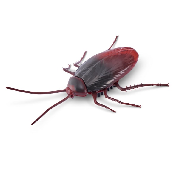 Robo Alive Crawling Cockroach Glow in the dark multifärg