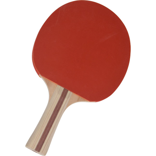 Pingisset 4 delar multifärg