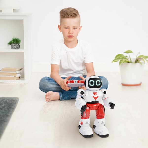 Xtrem Bots Willy multifärg
