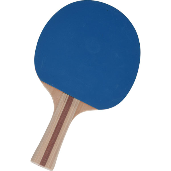 Pingisset 4 delar multifärg