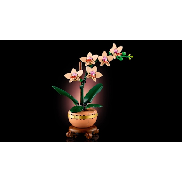 LEGO® Botanicals Miniorkidé 10343