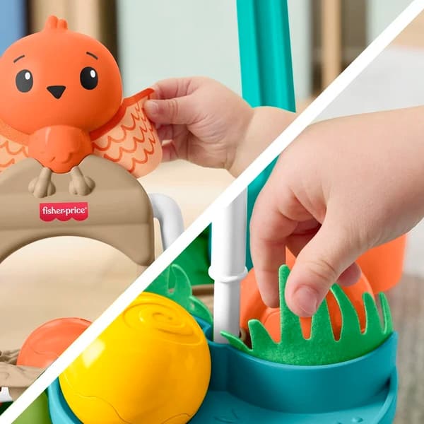 Fisher-Price Turtle Walker Gå- och aktivitetsvagn multifärg
