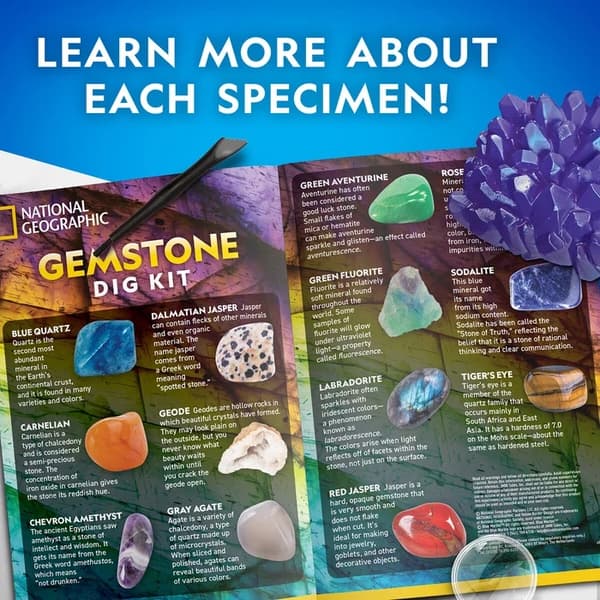 National Geographic Jumbo Gemstone Dig Kit multifärg