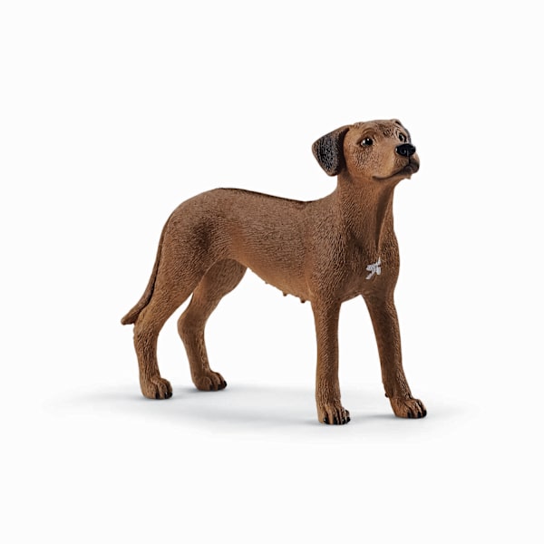 schleich® FARM WORLD Rhodesian Ridgeback 13895 multifärg