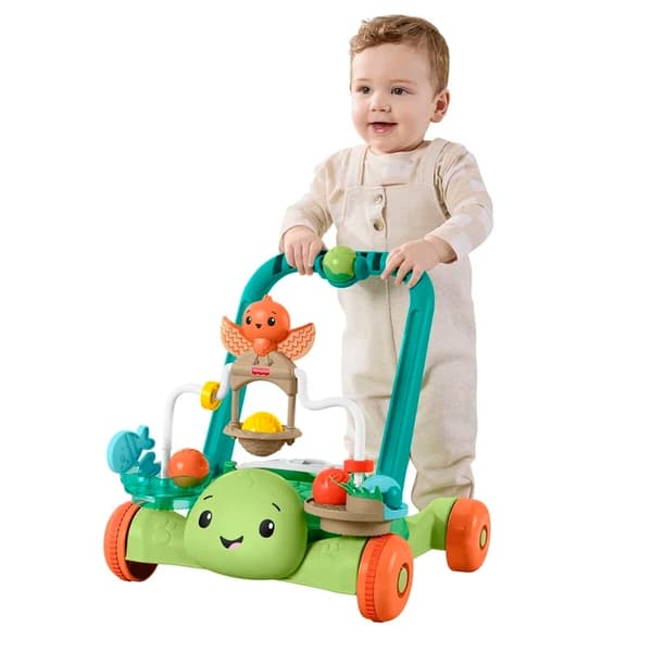 Fisher-Price Turtle Walker Gå- och aktivitetsvagn multifärg