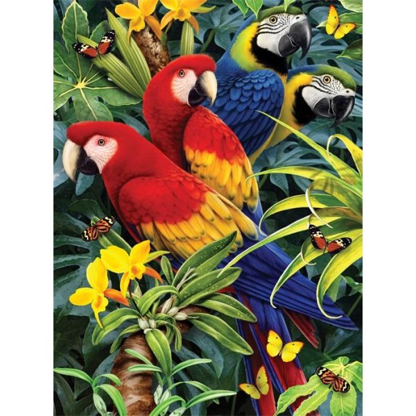 Måla efter nummer Majestätiska Papegojor multifärg