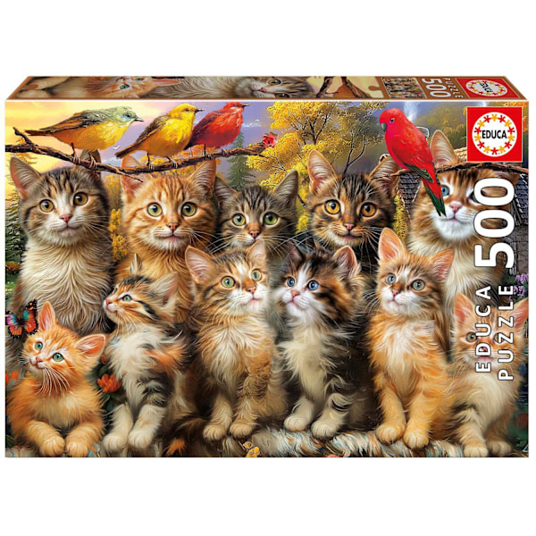 Educa Kittens And Birds Pussel 500 bitar multifärg