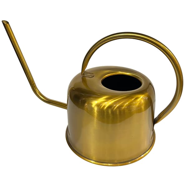 Vattenkanna Guld Metall 1 l Guld