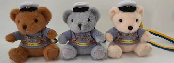 Student Nalle Brun "Klassens Ljus" 15 cm Brown one size