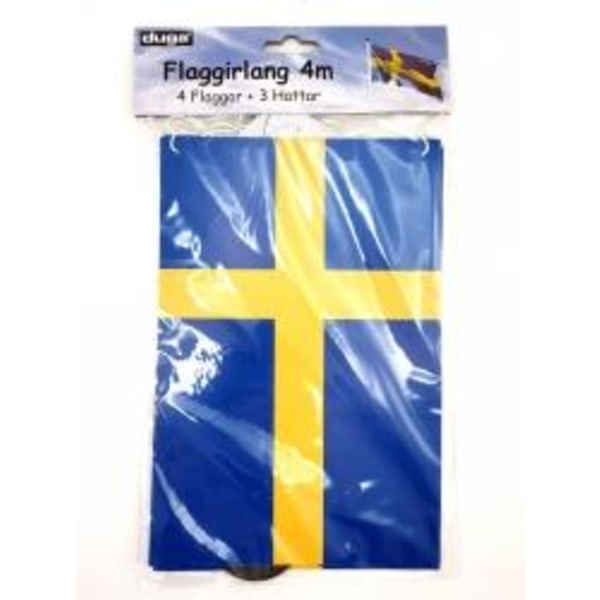 Flaggspel Student 4 meter girlang Multicolor