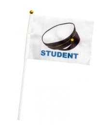 Flagg Flaggstång Student 30 cm 6-pakning White