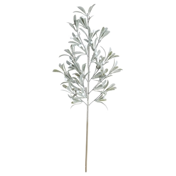 Kvist Cypress Bär 71 cm Grön