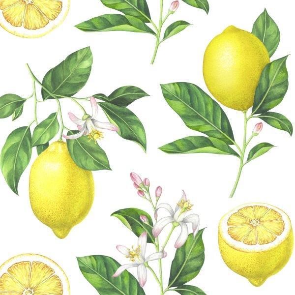 Servetter Citroner 33x33cm 20-pack multifärg