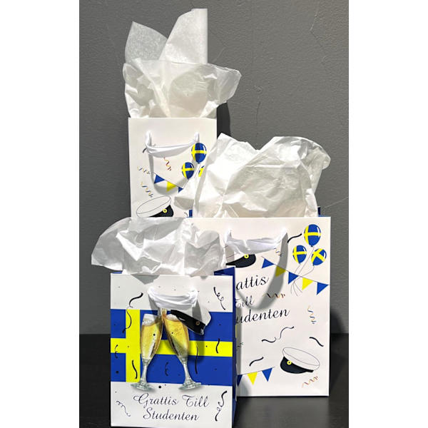Presentpåse Student Flaska 35x12 cm 2-pack multifärg
