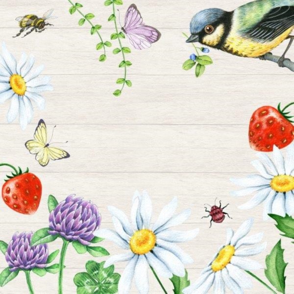 Kaffeservetter Talgoxe sommar 25x25cm 20-pack Multicolor