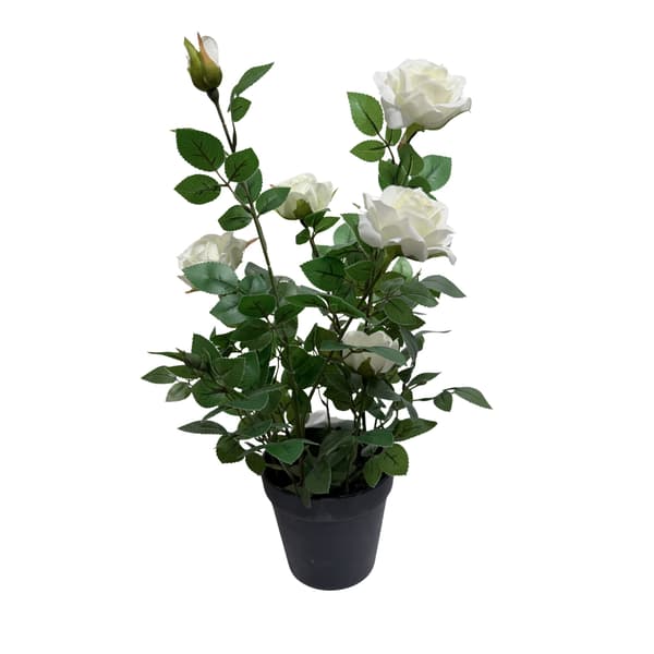 Ros i kruka Vit 41 cm Vit