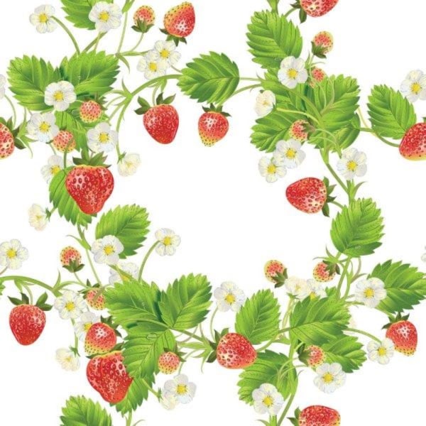 Servietter Jordbær og blader 33x33cm Multicolor