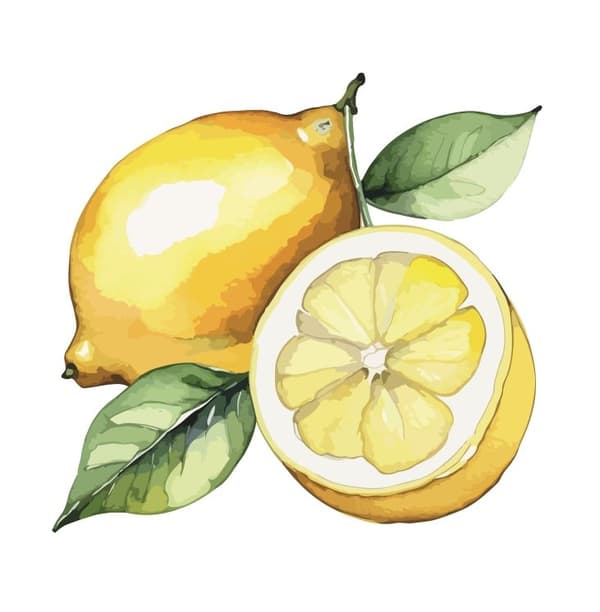 Servetter Citron 33x33 cm 20-pack Multicolor