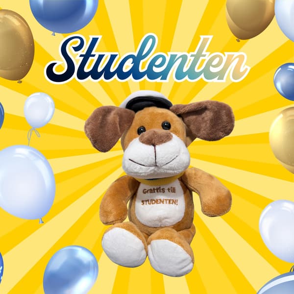 Student Hund Brun med band 14 cm Brown one size