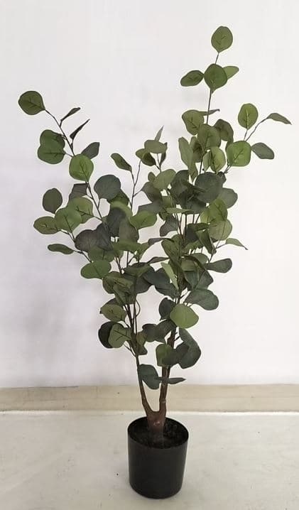 Eukalyptus Träd 95 cm Grön