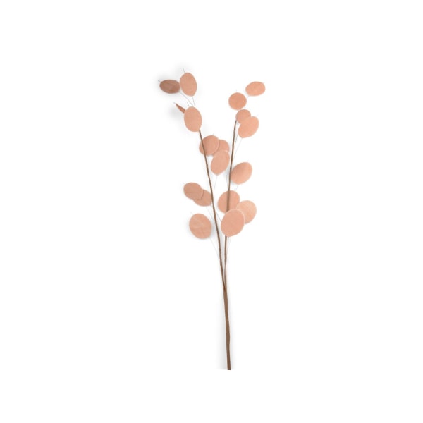Twig Money Flower Beige 72 cm Beige