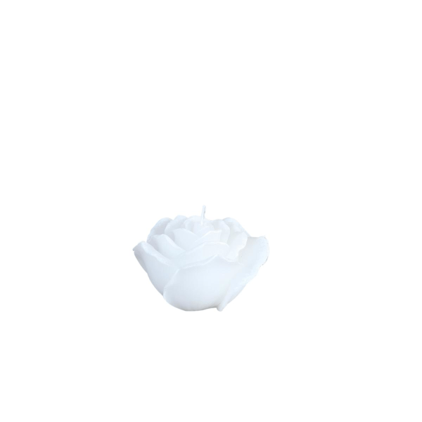 Lys Rose Hvit Skifter farge 10 cm White