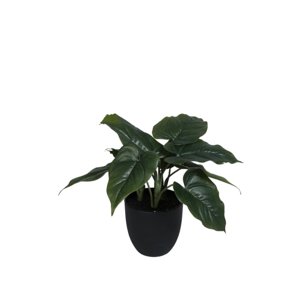 Konstgjord Växt Philodendron 35 cm Green