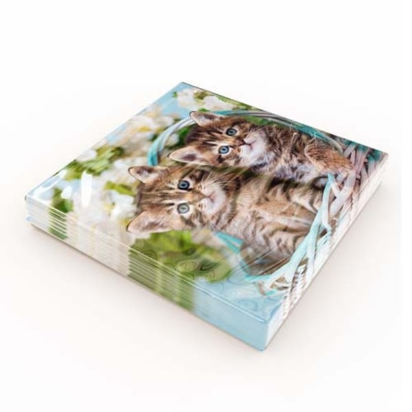 Servetter Kattungar 33x33cm 20-pack multifärg