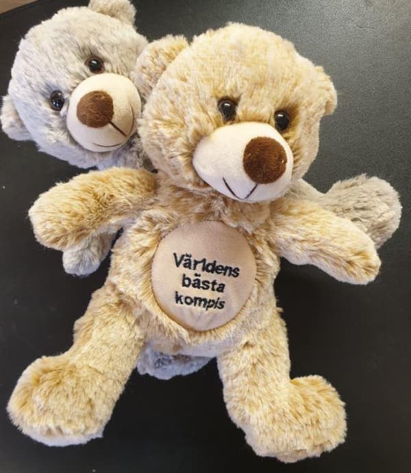 Nalle Världens bästa älskling Grå 20 cm Grey