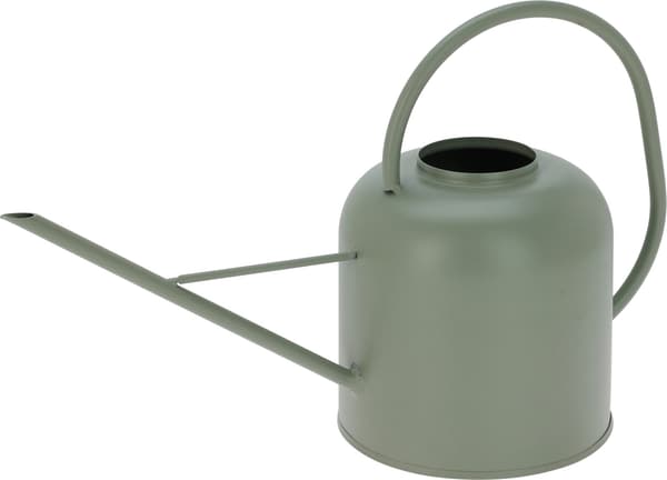 Vattenkanna Grön Metall Grön