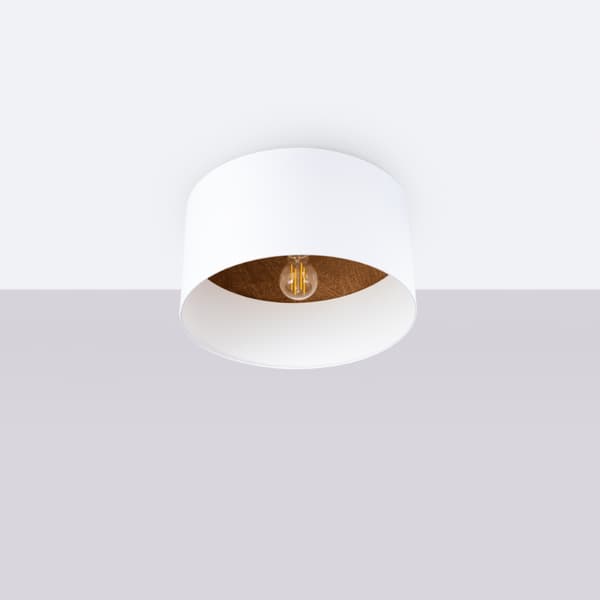 Taklampa TELESTO vit/mörkbrun White