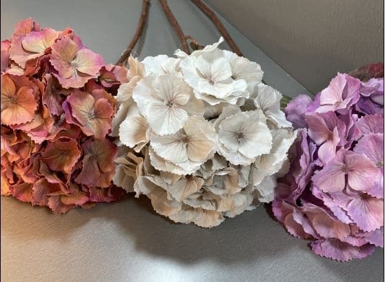 Hortensia Klot Rosa 70 cm Rosa