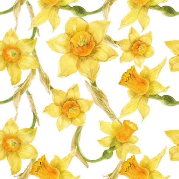 Kahvilautasliinat Daffodil 25x25cm 20 kpl Multicolor
