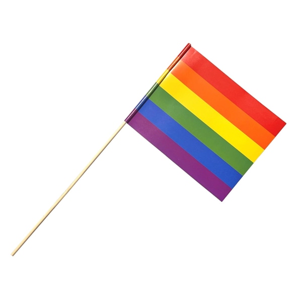 Pride Flag 6-pack papp LGBTQ+ Multicolor