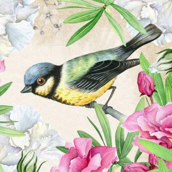 Servietter Talgoxe blomma 33x33cm 20-pak Multicolor