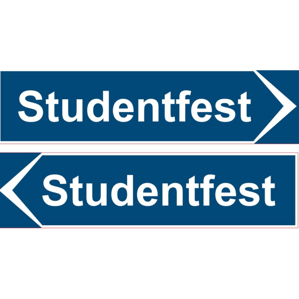 Studenterfestskilt 40x10 cm Multicolor