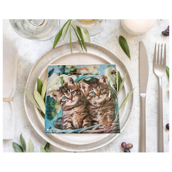 Servetter Kattungar 33x33cm 20-pack multifärg