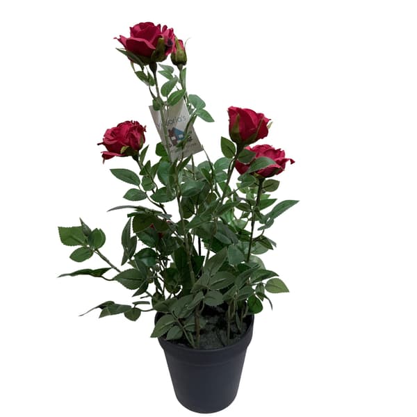 Ros i kruka Röd 41 cm Röd