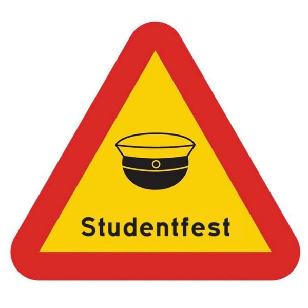 Skylt Student Fest 40 cm multifärg