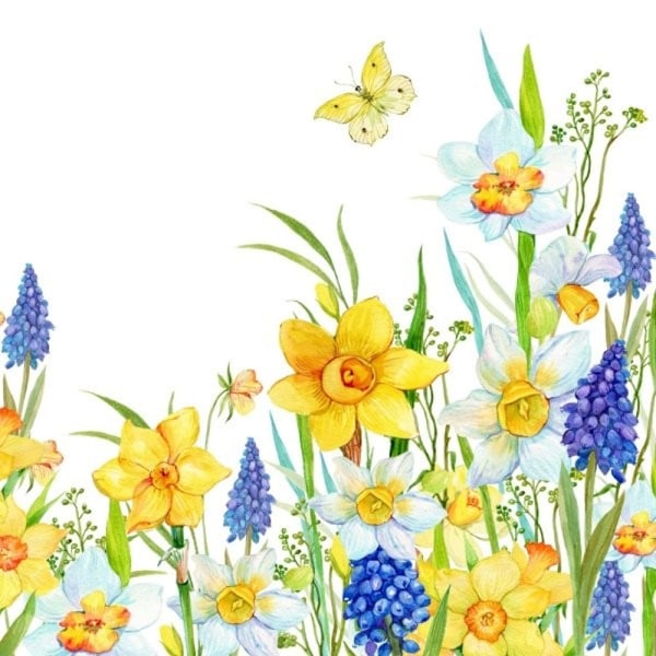 Servetter Vårblommor 33x33 cm 20-pack Multicolor