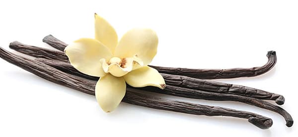 Doftolja Vanilj 10 ml Brun