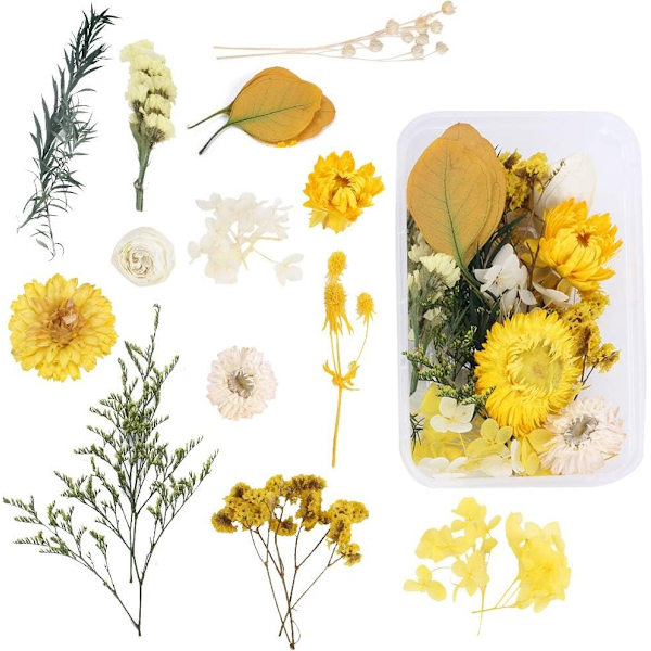 DIY Naturligt Torkat Blomset Med Torkad Blomförvaringslåda Gul Daisy Hortensia Eukalyptus