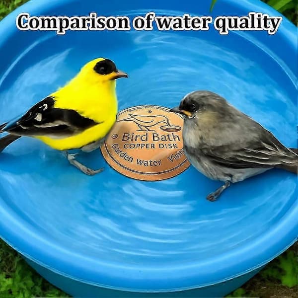 Copper Disc Bird Bath for Efficient Water Purification, Natural Algae Reduction, and Easy Outdoor Bird Bath Maintenance 53X3cm 53X3cm Pink