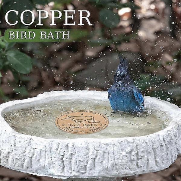 Copper Disc Bird Bath for Efficient Water Purification, Natural Algae Reduction, and Easy Outdoor Bird Bath Maintenance 53X3cm 53X3cm Pink