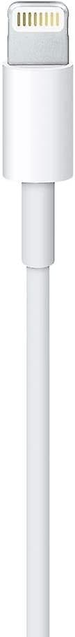 Apple Lightning till USB-kabel (1 m)