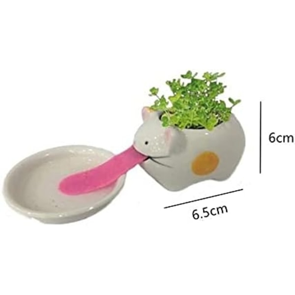 Mini självsugande keramiska blomkrukor med bricka för suckulenter kaktusblomkrukor dekoration för hem, kontor, inomhus ， Kattunge
